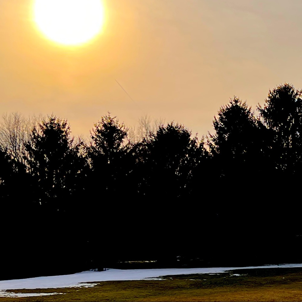 **MEET YOUR SELLER***